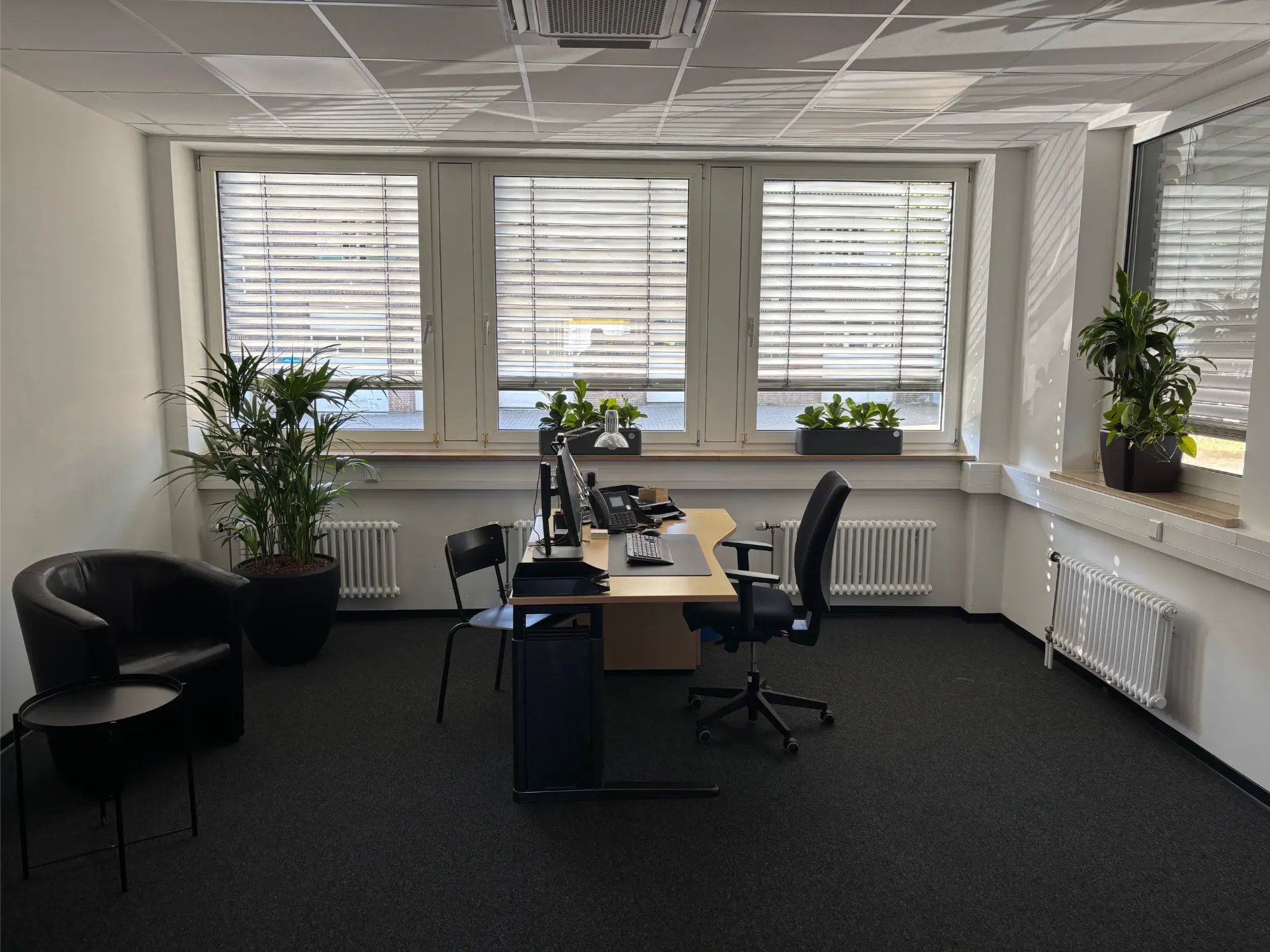 hydropflanzen_büro_mit_pflanzen_1_hydro-plan