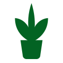 plants-scale
